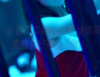 pans – 小鱼不卖肉，只卖油亮美图，免费的美好等你来拿！