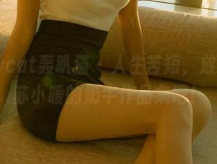 partycat轰趴猫 – 人生苦短，放肆下载苏小暖的奶牛作品集吧！