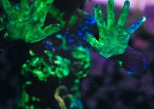 甜糖大魔王最新力作，无圣光情人节猫猫合集，你敢点进去吗？