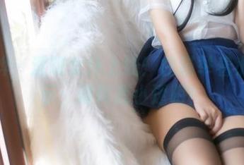 白烨烨：透明女仆上线！白猫举着小手表示：请叫我小透明！